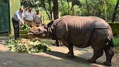 गैंडे के संरक्षण के लिए पटना ZOO का विश्व में दूसरा स्थान, देश का अव्वल केंद्र