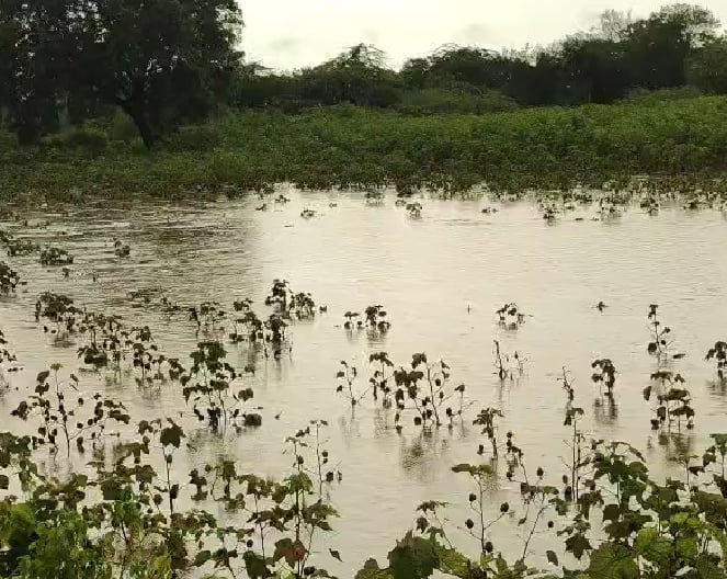 मराठवाड्यात अतिवृष्टी, ढगफुटी सदृश्य पावसाने एका रात्रीत होत्याचं नव्हतं झालं; रस्ते पाण्याखाली, गावांचा संपर्क तुटला