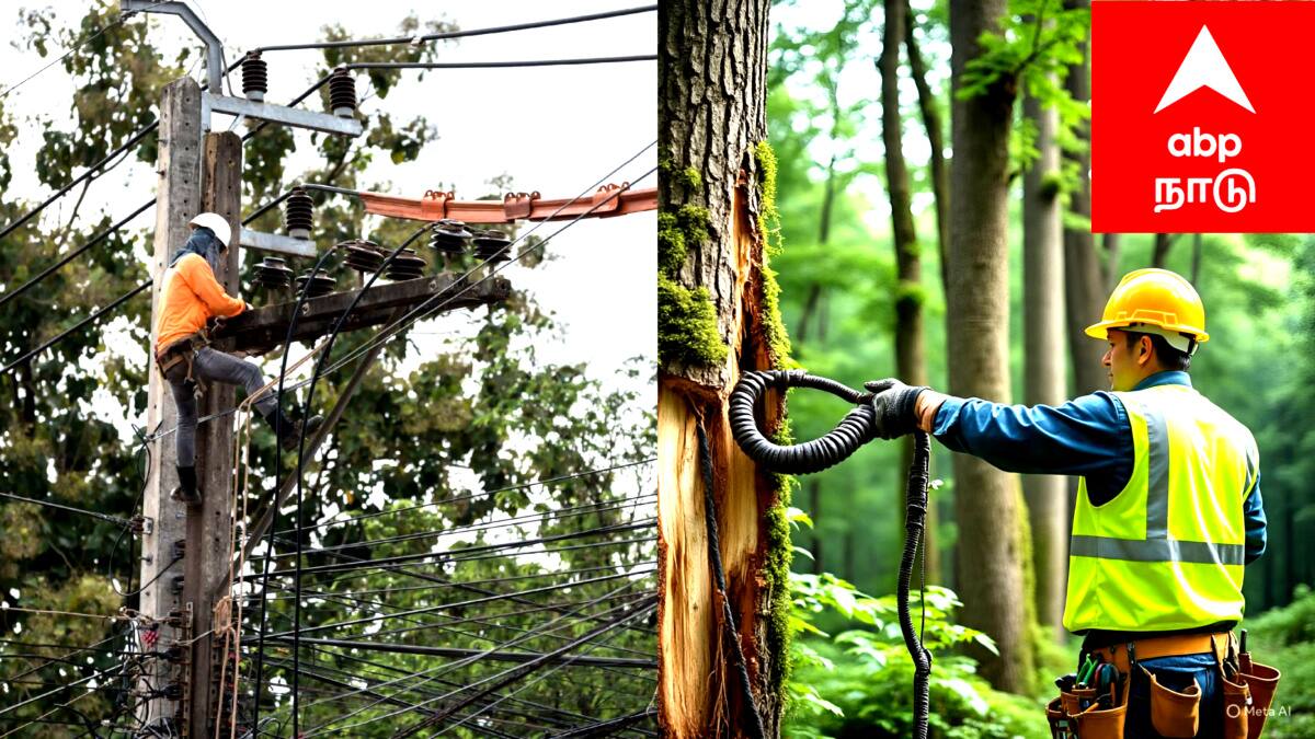 Mayiladuthurai Power Shutdown (23.09.2025): மயிலாடுதுறை மின் தடை: நாளை 9 மணி முதல் 5 மணி வரை! உங்க ஏரியா இருக்கா? உடனே செக் பண்ணுங்க!