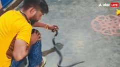 मुजफ्फरनगर में युवक को सांप से खेलना पड़ा भारी, काटने से मौत, वीडियो बनाते रहे लोग