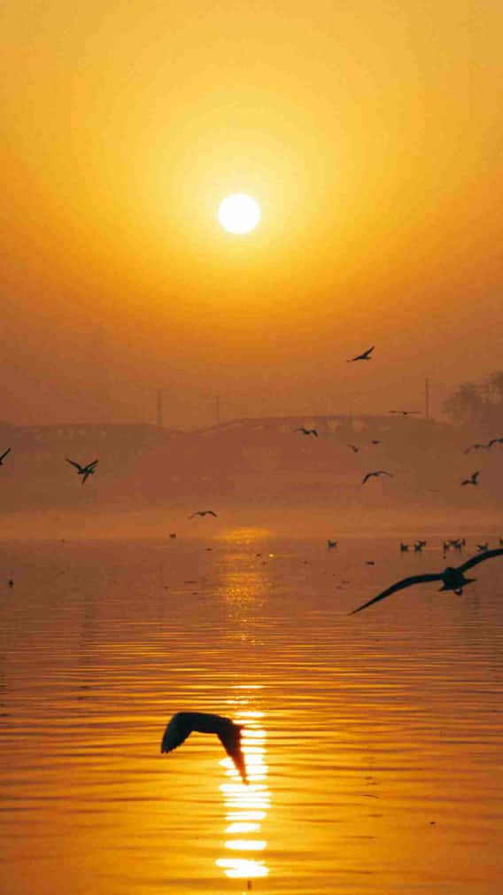 साहिबी नदी की कितनी है लंबाई?