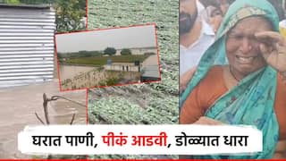 गावात पाणी, घरात पाणी, शेतातली पीकं पडली आडवी; सोलापूर, धाराशिवमध्ये शेतकऱ्यांच्या डोळ्यात अश्रूंच्या धारा