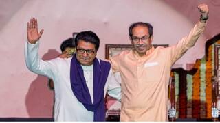 Raj Thackeray & Uddhav Thackeray: तुमचा बेपारी ब्रँड संपेल, पण आमचा मराठी ठाकरे विचार कायम राहील; मनसेच्या संदीप देशपांडेंचं भाजपला सणसणीत प्रत्युत्तर