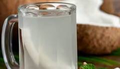 Drinks for Navratri: સ્વાસ્થ્ય અને ફિટનેસ જાળવવા માટે પીવો આ 7 ડ્રિંક્સ, થશે આ લાભ