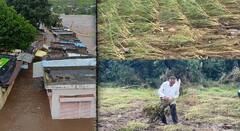 राज्यात अतिवृष्टीचं थैमान! विदर्भ, मराठवाड्यासह अनेक जिल्ह्यांना पावसाचा फटका; निसर्गाच्या अवकृपेमुळे बळीराजा मोठ्या संकटात