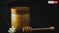 Honey City of UP: यूपी के इस शहर को कहते हैं 'सिटी ऑफ हनी', जानिए कैसे पड़ा इसका यह नाम?