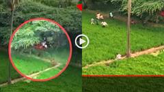 Video: ये है ड्रोन का सही इस्तेमाल! ऐसे बताया जुआरियों का पता, पुलिस के आते ही रॉकेट बने लोग