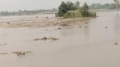 ਪੰਜਾਬ ਵਾਸੀਆਂ 'ਤੇ ਮੰਡਰਾ ਰਿਹਾ ਵੱਡਾ ਖ਼ਤਰਾ! ਹੁਣ ਟੁੱਟਿਆ ਇਹ ਬੰਨ੍ਹ: ਕਿਸਾਨਾਂ ਦੀਆਂ ਫਸਲਾਂ ਤਬਾਹ; ਵਧੀ ਚਿੰਤਾ...