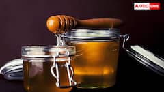 Honey City of UP: यूपी के इस शहर को कहते हैं 'सिटी ऑफ हनी', जानिए कैसे पड़ा इसका यह नाम?