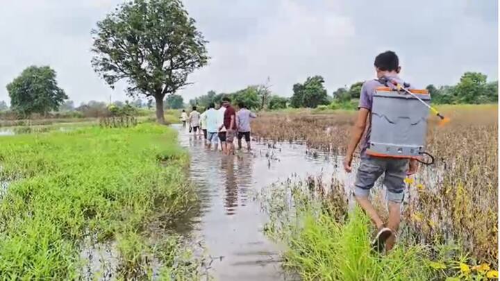 माढा तालुक्यातील सोळा गावांना पाण्याचा वेढा पडल्याने अनेक ग्रामस्थ आपल्या घरात सुरक्षित असल्याचा दावा प्रशासनाने केला आहे