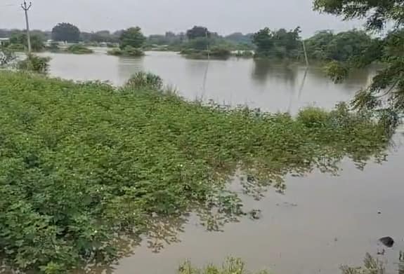 शेतकऱ्यांचे मोठे नुकसान झाले आहे. नुकसानीचे पंचनामे क…