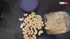 किचन गार्डन में आसानी से कैसे उगा सकते हैं काजू? ये तरीका जानकर आपकी भी होगी तगड़ी बचत