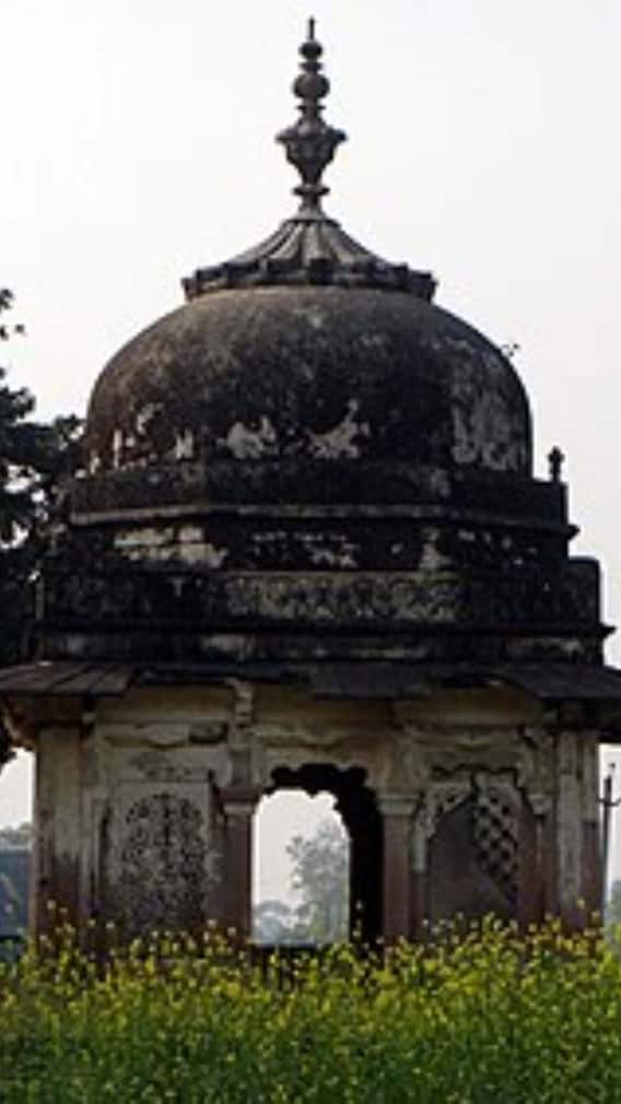 इतिहास और परंपरा से भरा दारानगर: कौशांबी का अनमोल धरोहर