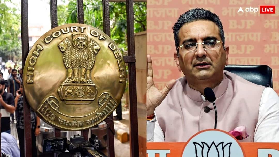‘राजनीति में रहना है तो मोटी चमड़ी…’, BJP प्रवक्ता की याचिका पर ऐसा क्यों बोला दिल्ली HC?