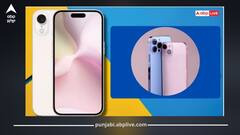 ਕਿਫ਼ਾਇਤੀ ਕੀਮਤ 'ਤੇ ਮਿਲਣਗੇ ਮਹਿੰਗੇ iPhone 17 ਵਰਗੇ ਫੀਚਰ, Apple ਲੈ ਕੇ ਆ ਰਿਹਾ ਇਹ ਵਾਲਾ ਫੋਨ, ਜਾਣੋ ਕਦੋਂ ਹੋਵੇਗਾ ਲਾਂਚ