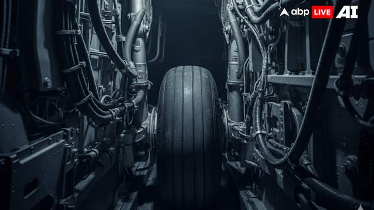<div>13-Year-Old Afghan Boy 'Survives' 2-Hour Kabul-Delhi Flight Journey In Landing Gear</div>
