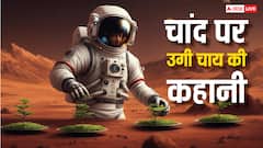 चांद पर उगाई गई चाय तो मिले ऐसे रिजल्ट, जानें मंगल पर क्या हुआ हाल?