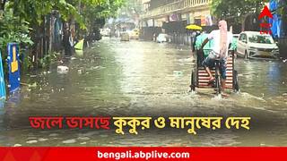 Kolkata Rain Update : সাইকেল রাখতেই সব শেষ! একই সঙ্গে ভেসে বিদ্যুৎস্পৃষ্ট কুকুর ও মানুষের দেহ