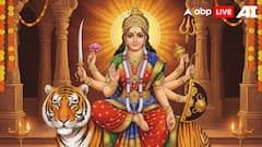 Shardiya Navratri Day 3 Wishes: Share These Heartfelt Messages With Your Close Ones