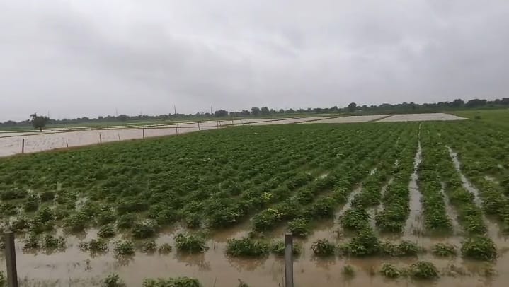 સમગ્ર અહેવાલ વાંચવા માટે અહીં ક્લિક કરો