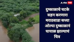 दुष्काळाचे चटके सहन करणारा मराठवाडा सध्या ओल्या दुष्काळानं ओलाचिंब झाल्याचं चित्र आहे.