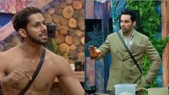 Bigg Boss 19: Baseer Ali Calls Abhishek Bajaj A 'Flop Captain' In Explosive Fight Over Hygiene