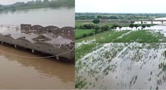 अतिवृष्टीनं झोडपलं, मराठवाड्यात पावसाचा कहर; बीड, सोलापूरसह धाराशिवमधल्या शाळांना सुट्टी जाहीर; वाचा पावसाचे सर्व अपडेट्स