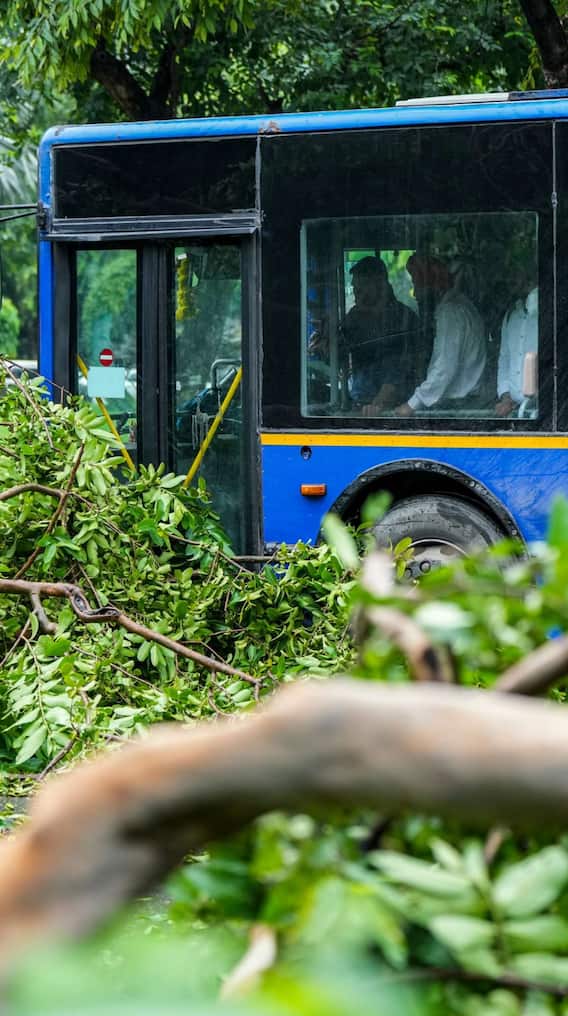 कैसे बनवा सकते हैं सहेली स्मार्ट कार्ड?