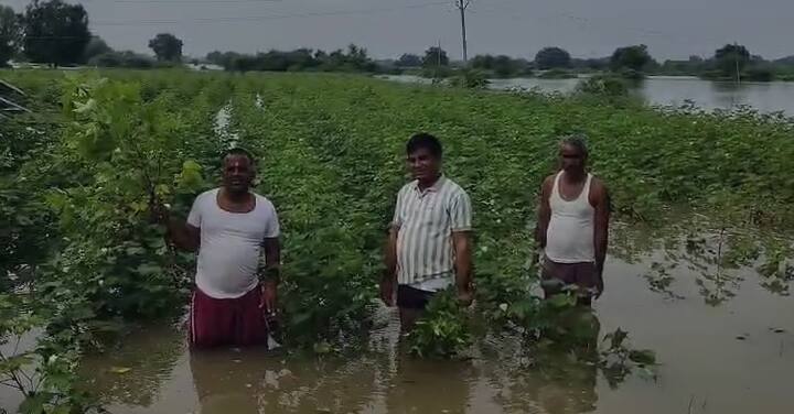 शेकडो हेक्टर क्षेत्रावरील शेतकऱ्यांची शेती पिकं गेली पाण्याखाली , सोयाबीन कापूस मोसंबी पिकांचे नुकसान..