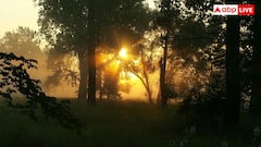 भारत के इस गांव में सबसे पहले होती है सुबह, लोग दोपहर में ही करने लगते हैं डिनर की तैयारी