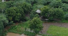 दुष्काळाचे चटके सहन करणारा मराठवाडा सध्या ओल्या दुष्काळानं ओलाचिंब झाल्याचं चित्र आहे.