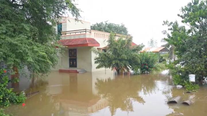 माढा तालुक्यातील घरांना पूराच्या पाण्याचा वेढा पडला आहे.