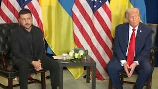 ‘Great Respect For Ukraine's Fight’: Trump Tells Zelenskyy; Says This On Russian Aircraft Entering NATO Airspace