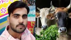 भीलवाड़ा: मंदसौर से पशु खरीदने आए युवक की पीट-पीटकर हत्या, गौ तस्करी के शक में उतारा मौत के घाट