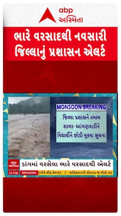 Navsari Rain: ડાંગમાં વરસેલા ભારે વરસાદથી નવસારી જિલ્લાનું પ્રશાસન એલર્ટ