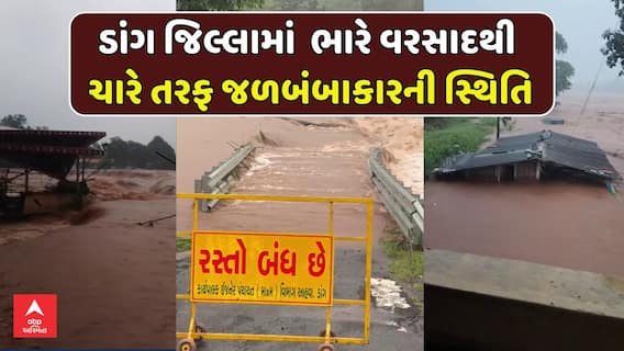 Dang Waterlogged: ડાંગ જિલ્લામાં ભારે વરસાદથી ચારે તરફ જળબંબાકારની સ્થિતિ