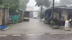 આગામી 24 કલાકમાં રાજ્યના 7 જિલ્લામાં ગાજવીજ સાથે ભારે વરસાદની આગાહી, યલો એલર્ટ જાહેર