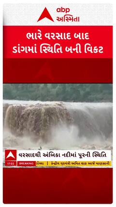 Dang Flood : ડાંગની નદીઓનું સામે આવ્યું રૌદ્ર સ્વરૂપ, સ્થિતિ બની વિકટ