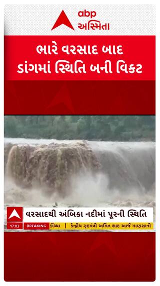 Dang Flood : ડાંગની નદીઓનું સામે આવ્યું રૌદ્ર સ્વરૂપ, સ્થિતિ બની વિકટ