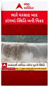 Dang Flood : ડાંગની નદીઓનું સામે આવ્યું રૌદ્ર સ્વરૂપ, સ્થિતિ બની વિકટ