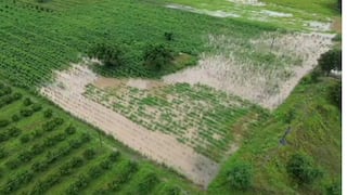 Wet Drought in Maharashtra: राज्यात ओला दुष्काळ जाहीर होण्याच्या हालचालींना वेग, कृषीमंत्री अन् मदत-पुनवर्सन मंत्र्यांचं मोठं वक्तव्य, शेतकऱ्यांना दिलासा मिळणार?