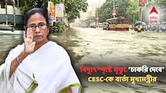 'CESC-কে ক্ষতিপূরণ দিতে হবে, চাকরিও দিতে হবে, রাজ্য সরকারও মৃতদের পরিবারের পাশে আছে', জানালেন মমতা