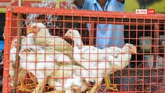 महाराष्ट्र: नवरात्रि के दौरान बंद होंगी मांस की दुकानें? शिंदे गुट ने साफ किया स्टैंड