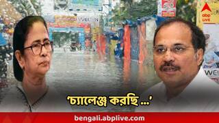 Adhir Chowdhury : 'খাল সংস্কারের নামে টাকা ঝেড়ে উল্টে...' মমতাকে কী চ্যালেঞ্জ জানালেন অধীর?