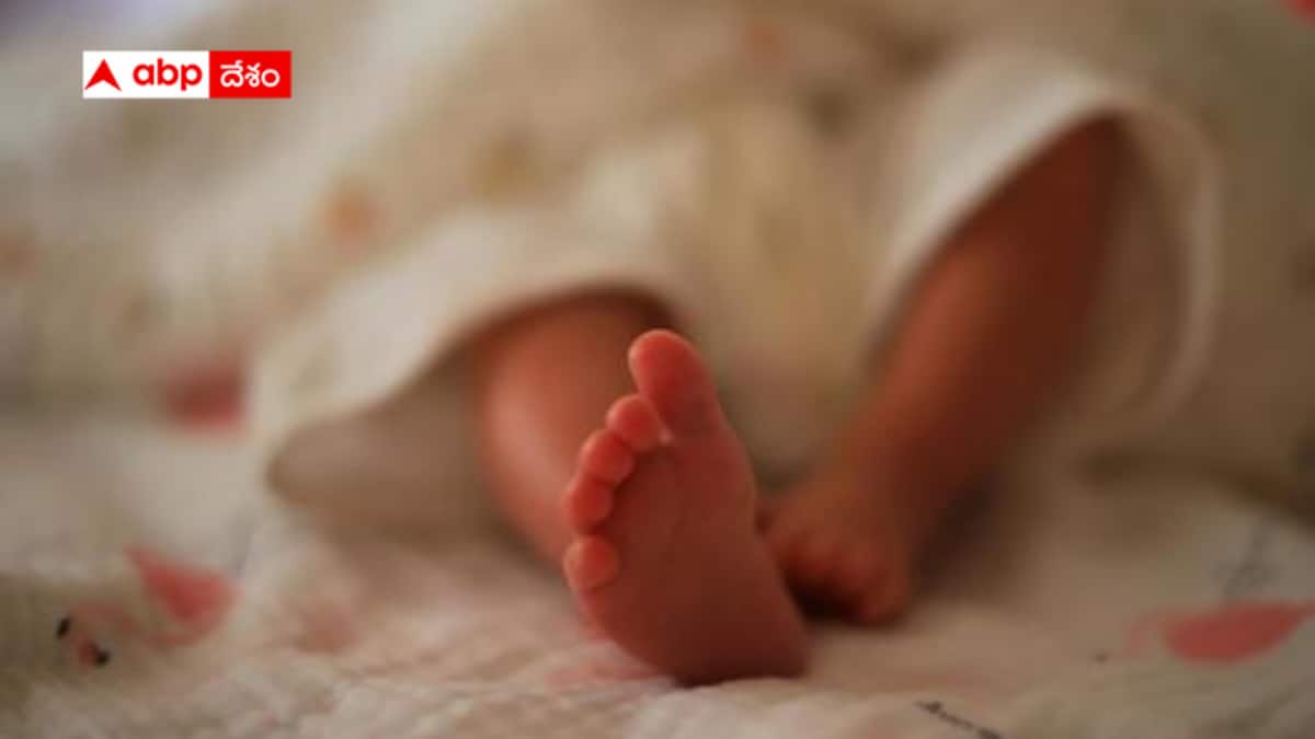 Rajasthan Shocker: నోటికి ఫెవిక్విక్ రాసి అడవిలో బండరాళ్ల పడేశారు - అయినా బతికిన 15 రోజుల బిడ్డ -రాజస్థాన్‌లో మృత్యుంజయుడు !