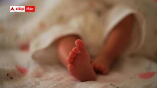 Rajasthan Shocker: నోటికి ఫెవిక్విక్ రాసి అడవిలో బండరాళ్ల పడేశారు - అయినా బతికిన 15 రోజుల బిడ్డ -రాజస్థాన్‌లో మృత్యుంజయుడు !