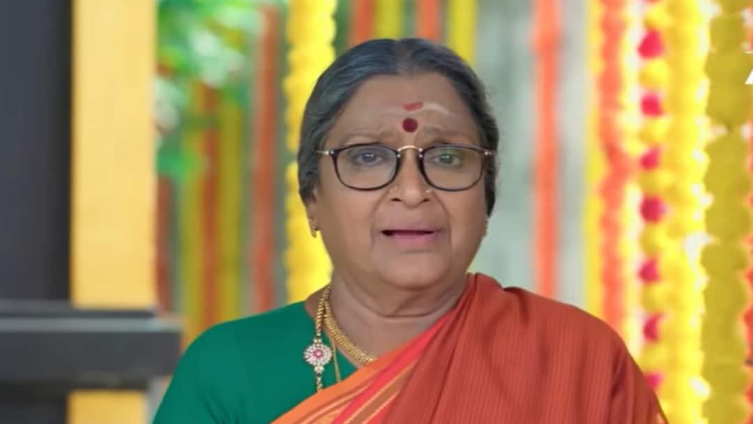 Karthigai Deepam: ரேவதியை காப்பாற்றத் துடிக்கும் கார்த்திக்.. உயிரைப் பறிக்கத் துடிக்கும் காளியம்மாள் - கார்த்திகை தீபத்தில் இன்று