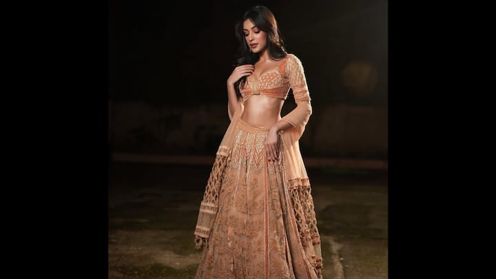 4. Ethereal Peach Embroidered Lehenga: Sahher Bambba looks breathtaking in this peach embroidered lehenga, making it a dreamy choice for festive occasions. The outfit features a heavily embellished blouse with intricate threadwork and a plunging neckline. She beautifully paired it with a voluminous lehenga adorned with delicate floral embroidery. The full-sleeve blouse adds a regal touch, while the sheer dupatta completes the look with elegance. This ensemble is a perfect blend of traditional artistry and modern glamour, making it a must-have inspiration for weddings, Diwali parties, and grand celebrations. (Image Source: Instagram/@sahherbambba)