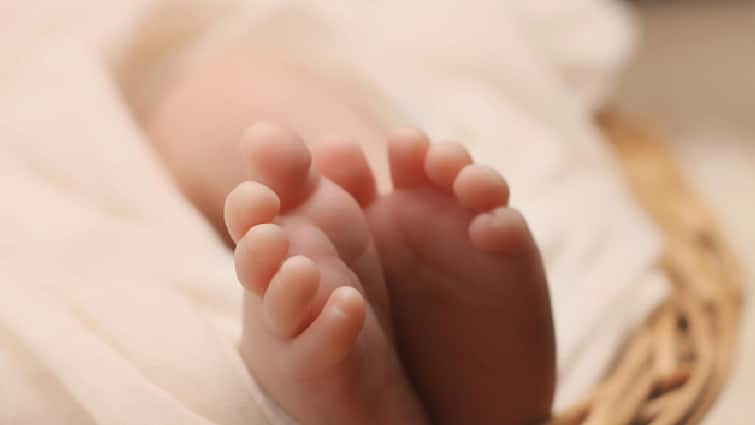 15-Day-Old Infant Abandoned In Rajasthan Forest, Found With Mouth Sealed With Stones