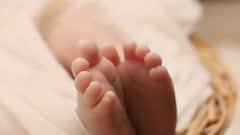 15-Day-Old Infant Abandoned In Rajasthan Forest, Found With Mouth Sealed With Stones